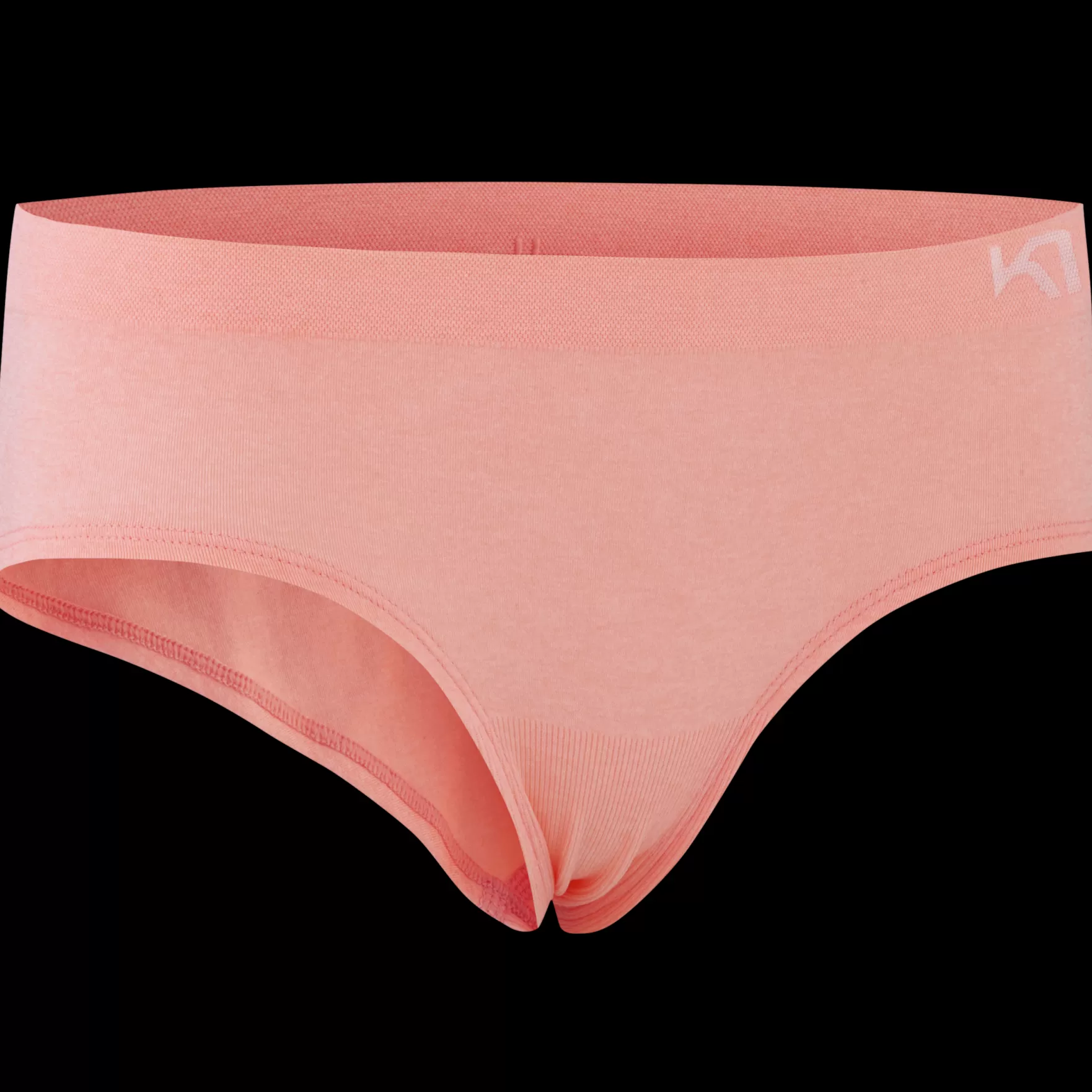 Sports Bras and Underwear-Kari Traa Ness Hipster Silk Pink